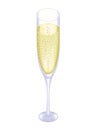 Champagne glass