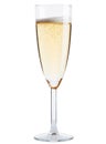 Champagne glass on white background