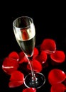 Champagne glass with petals of rose Royalty Free Stock Photo