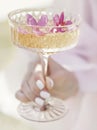 Champagne glass with pink petals of apple blossoms and a flowering branch on the background. A romantic unusual drink to celebrate