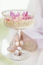 Champagne glass with pink petals of apple blossoms and a flowering branch on the background. A romantic unusual drink to celebrate