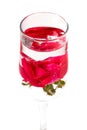 Champagne glass of red rose blossom Royalty Free Stock Photo
