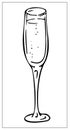Champagne glass vector. Champagne glass icon. Champagne icon. Wine glass. Sparkling wine vector illustration Royalty Free Stock Photo