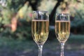 Champagne glass wine bottle cork corkscrew Royalty Free Stock Photo