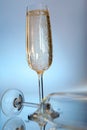 Champagne Glasses Royalty Free Stock Photo