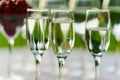 Champagne glasses on the buffet table. Table setting for a buffet at a party. Royalty Free Stock Photo