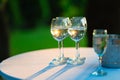 Champagne glasses on the buffet table. Table setting for a buffet at a party. Royalty Free Stock Photo
