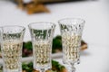 Champagne glasses on a long stem close up. Carbonated white wine. Selective focus, plates and snacks. The concept of a coffee