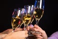 Champagne glasses during toast Royalty Free Stock Photo