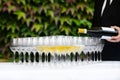 Champagne and glasses Royalty Free Stock Photo