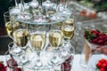 Champagne glasses. Wedding slide champagne for bride and groom. Colorful wedding glasses with champagne. Catering service.