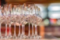Champagne Glasses Wine Set in Night Club Bar Royalty Free Stock Photo