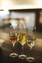 Champagne glasses. Wine tasting in the restaurant Royalty Free Stock Photo