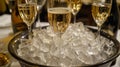 Champagne on ice ready to be poured and enjoyed with the meal making the evening even more special Royalty Free Stock Photo
