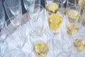 Champagne. Lots of glasses of sparkling wine waiting for a solemn toast Royalty Free Stock Photo