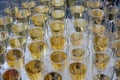 Champagne. Lots of glasses of sparkling wine waiting for a solemn toast Royalty Free Stock Photo