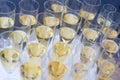 Champagne. Lots of glasses of sparkling wine waiting for a solemn toast Royalty Free Stock Photo