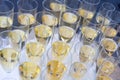 Champagne. Lots of glasses of sparkling wine waiting for a solemn toast Royalty Free Stock Photo