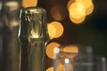 Champagne Neck with Blurry Lights Royalty Free Stock Photo