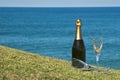 Champagne Picnic on the headland.