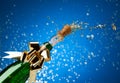 Champagne plash and snow Royalty Free Stock Photo