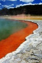 Champagne Pool