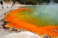 Champagne Pool, Wai-O-Tapu Royalty Free Stock Photo