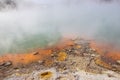 Champagne Pool in Wai-o-tapu an active geothermal area, New Zealand Royalty Free Stock Photo