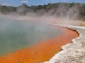 Champagne Pool