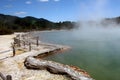 Champagne Pool, Wai-O-Tapu,New Zealand Royalty Free Stock Photo