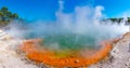 Champagne pool at Wai-O-Tapu in New Zealand Royalty Free Stock Photo