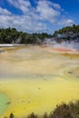 Champagne pool in Wai-O-Tapu thermal wonderland in Rotorua, New Zealand Royalty Free Stock Photo