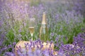 Champagne is poured into glasses in a sunset lavender field. Royalty Free Stock Photo