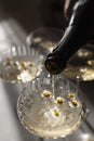 Champagne pourig into glasses on a light table surface reflecting soft sunshine rayson Royalty Free Stock Photo