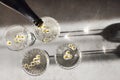 Champagne pourig into glasses on a light table surface reflecting soft sunshine rayson Royalty Free Stock Photo