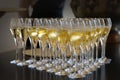 Champagne, prosecco, cava, flutes of sparkling wine
