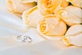 Champagne roses with rings 2 Royalty Free Stock Photo