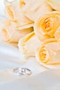 Champagne roses with rings Royalty Free Stock Photo