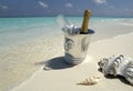 Champagne - tropical beach - Maldives Royalty Free Stock Photo