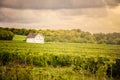 Champagne vineyards. Champagne-Ardenne region.France Royalty Free Stock Photo