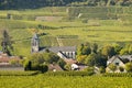 Champagne vineyards Cuis in Marne department, France