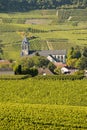 Champagne vineyards Cuis in Marne department, France