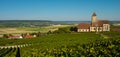 Champagne vineyards Cuis in Marne department, France