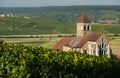 Champagne vineyards Cuis in Marne department, France