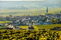 Champagne vineyards Sermiers in Marne department, France