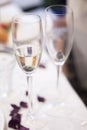 Champagne white wine glasses in wedding party Royalty Free Stock Photo