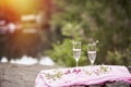 Champagne with wildflowers outside. Photo picnic on the nature with sunlight. Celebrating life and solitude concept Royalty Free Stock Photo