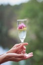 Champagne with wildflowers outside.Women& x27;s hands keeps a glass with champagne with surreal flowers. Celebrating life and Royalty Free Stock Photo