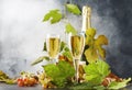 Champagne wine in glass background. Autumn still life, wine tasting table setting concept Royalty Free Stock Photo