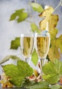 Champagne wine in glass background. Autumn still life, wine tasting table setting concept Royalty Free Stock Photo